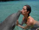 Experiencia con delfines en Moorea Experiencia con delfines en Moorea