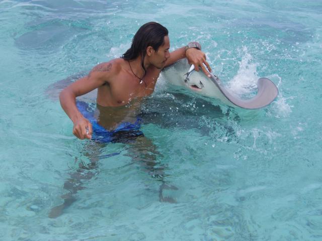 Haz Snorkel en el paco Tiputa 