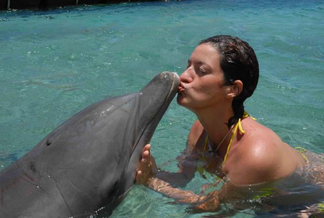 Experiencia con delfines en Moorea